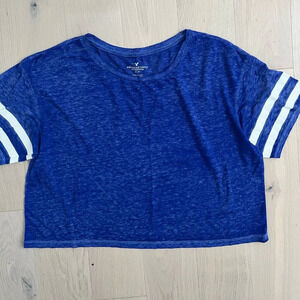 American Eagle Blue Crop Top